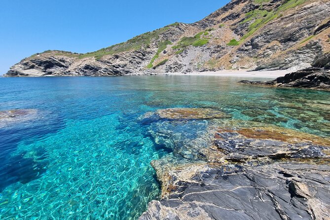 Wild Beaches & Snorkeling Tour - Beach time and marine life: why this coast feels special