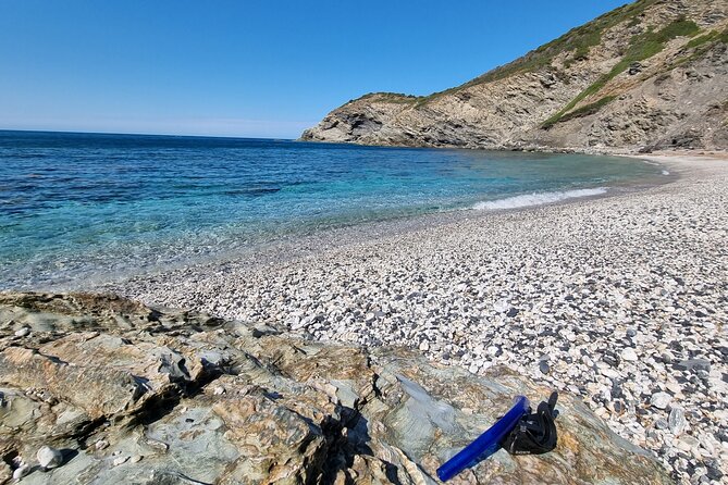 Wild Beaches & Snorkeling Tour - The beach lunch: Sardinian products without the fuss