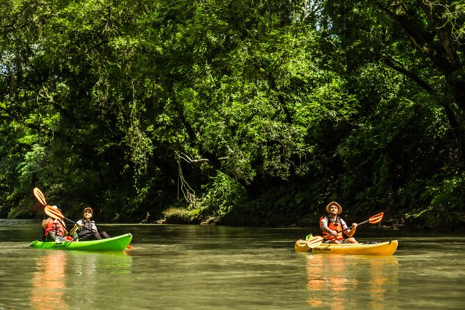 Wildlife Safari Float by Kayak in Peñas Blancas River from Arenal - La Cocina de Tita Yolanda: the crop tour that makes the trip stick