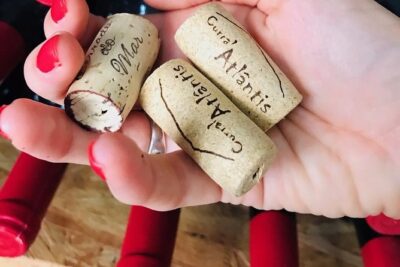 Wine, Cheese & Charcuterie Tasting, including complimentary tour - The bread, jam, and honey pairings that make the cheeses click