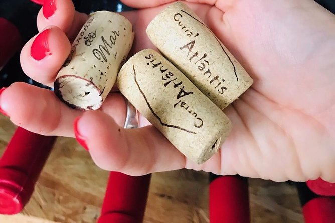 Wine, Cheese & Charcuterie Tasting, including complimentary tour - The bread, jam, and honey pairings that make the cheeses click