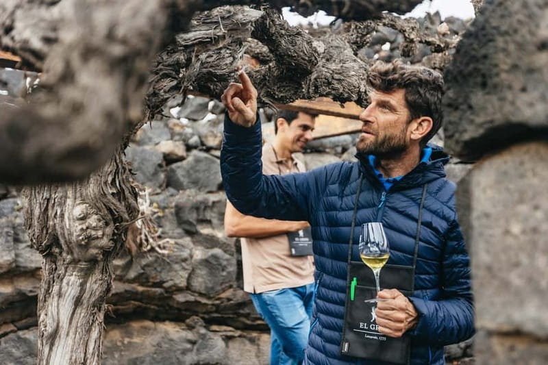 Wine Lovers: Wine Tasting Tour at El Grifo Bodega Lanzarote - Key things to know before you go