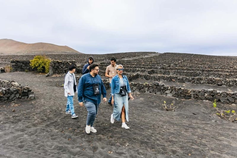 Wine Lovers: Wine Tasting Tour at El Grifo Bodega Lanzarote - The guided tasting: 6 wines, paced like a lesson