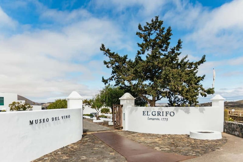 Wine Lovers: Wine Tasting Tour at El Grifo Bodega Lanzarote - Cheese pairing that actually works with the wines