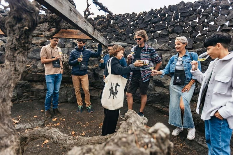 Wine Lovers: Wine Tasting Tour at El Grifo Bodega Lanzarote - Price and value: is $57 a fair deal?