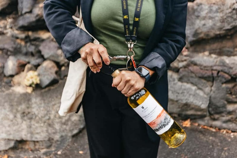 Wine Lovers: Wine Tasting Tour at El Grifo Bodega Lanzarote - Should you book the Wine Lovers tour at El Grifo?