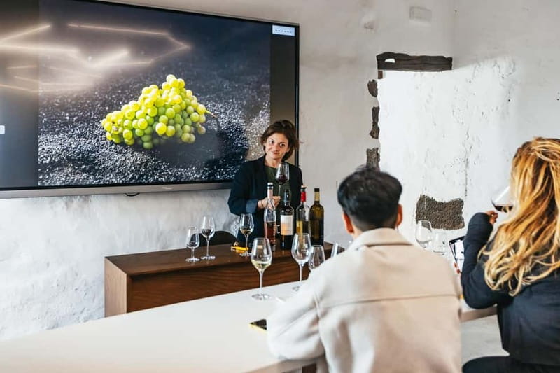 Wine Lovers: Wine Tasting Tour at El Grifo Bodega Lanzarote - The museum stop: 1775 winemaking tools and how the site evolved