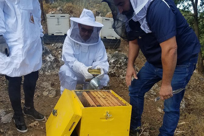 Wine, Olive Oil, and Honey Tour with Winemaker - Key Highlights You’ll Actually Feel