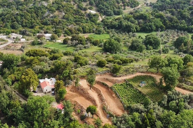 Wine, Olive Oil, and Honey Tour with Winemaker - Mountain Roads and Barrel Wine Tasting in Crete