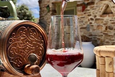 Wine Tasting and Tour in Saint Anna Winery in Naxos - The winemaking walkthrough: videos, photos, and the stages you can actually picture