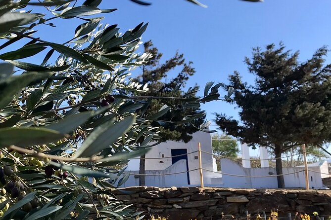 Wine Tasting and Tour in Saint Anna Winery in Naxos - Practical tips for a smoother evening at Saint Anna