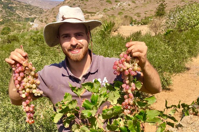 Wine Tasting and Tour in Saint Anna Winery in Naxos - Should you book this Naxos wine tasting and tour?