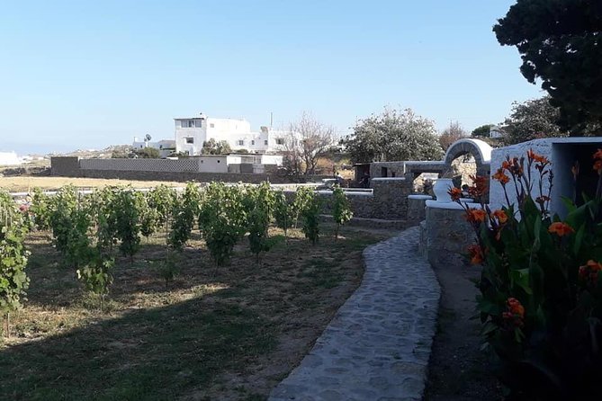 Wine Tasting Tour at a traditional farm in Mykonos - Price and Value: Is $90.70 Worth It?