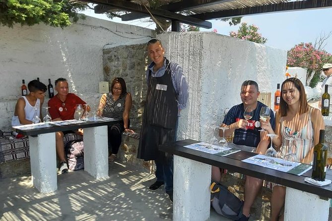 Wine Tasting Tour at a traditional farm in Mykonos - Who Should Book This Wine Tasting Tour (and Who Should Skip It)