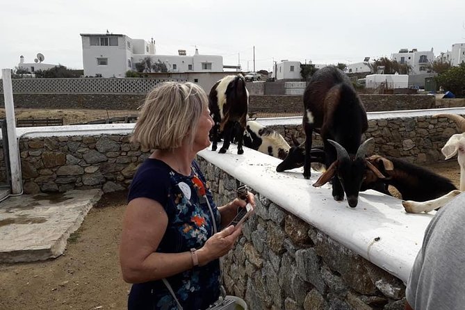 Wine Tasting Tour at a traditional farm in Mykonos - Should You Book This Wine Tasting Tour?