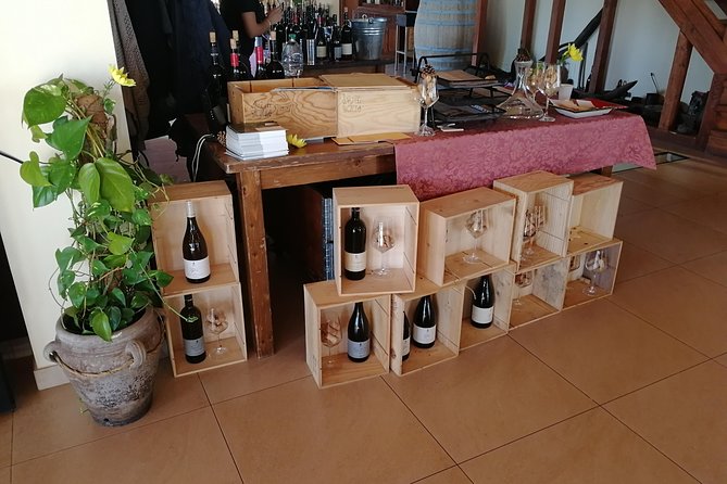 Wine Tasting Tour from Taormina - Gambino Winery and the Etna Connection: What You’re Actually Seeing