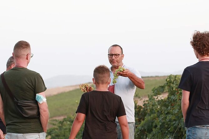Wine Tour in the historic Baglio Florio Adamo with Lunch - Baglio Florio Adamo: Why This Wine Tour Feels Like a Real Estate Visit