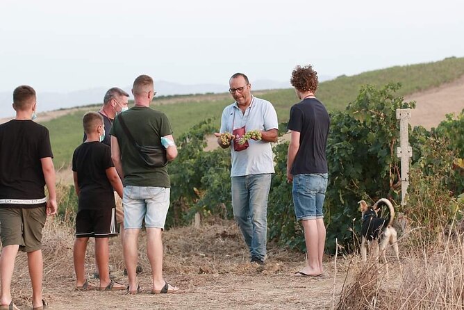 Wine Tour in the historic Baglio Florio Adamo with Lunch - Who This Wine Tour Suits Best (and Who Might Want Another Option)
