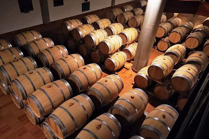 Winery tasting in Marsala and Mothia lagoon tour - Western Sicily in one half-day: Marsala wine meets the Stagnone lagoon