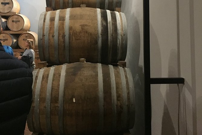 Winery tasting in Marsala and Mothia lagoon tour - What’s included in the tasting menu (and what it means for your day)
