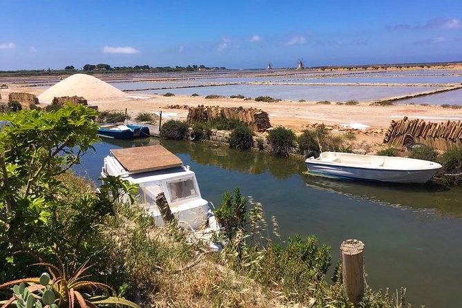 Winery tasting in Marsala and Mothia lagoon tour - Guide style and group vibe: why Alessio is a big deal here