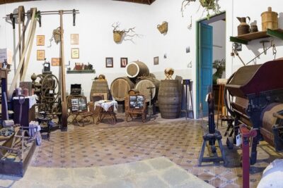 Winery Tour, Wine Museum, and Tasting in Gran Canaria - Entering the Family Winery: Old Tools, Photos, and Modern Craft
