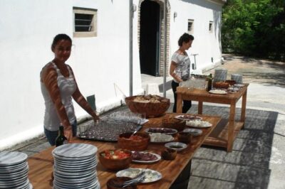 Winery tour with Wine and Olive tasting in Corfu - The 20-minute winery tour: what you’ll actually see