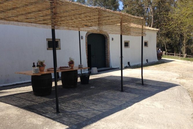 Winery tour with Wine and Olive tasting in Corfu - Timing: choose a slot that matches your day on Corfu