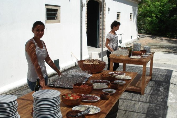 Winery tour with Wine and Olive tasting in Corfu - The 20-minute winery tour: what you’ll actually see