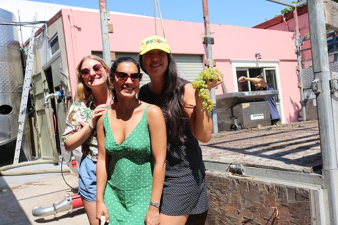 "YAMAS" - Winery tour &wine tasting - Timing and logistics: Dafnes meeting point and getting there