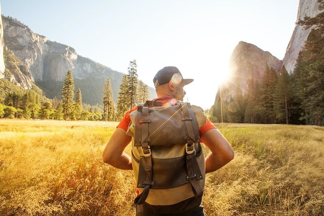Yosemite and Giant Sequoias Day Tour - Pickup at 6:00 am: Dublin BART or Union Square Timing Reality
