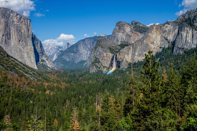 Yosemite and Giant Sequoias Day Tour - Tunnel View: A 15-Minute Photo Stop That Still Matters