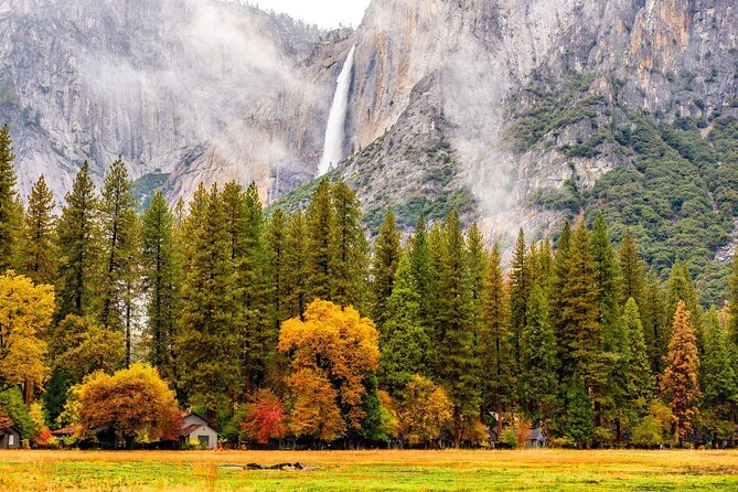 Yosemite National Park and Giant Sequoias Tour from San Jose - Key highlights worth your attention