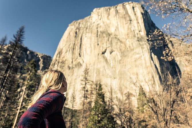 Yosemite National Park and Giant Sequoias Tour from San Jose - Transfers and bus time: the part that makes or breaks the mood