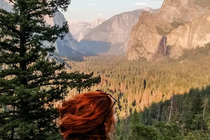 Yosemite National Park and Giant Sequoias Tour from San Jose - El Capitan Meadow and Valley View: the bus stops that feel like real scenes