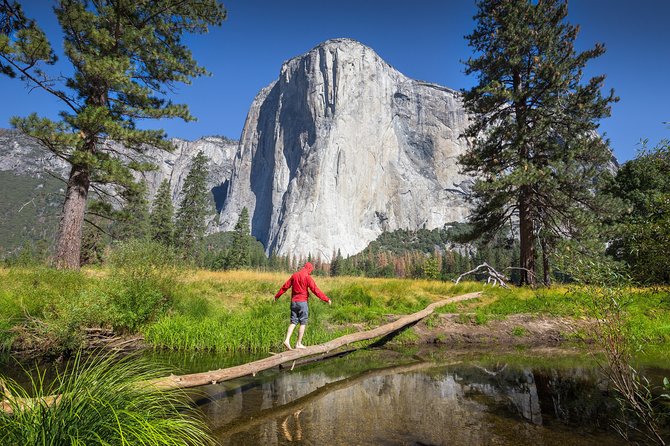 Yosemite National Park and Giant Sequoias Tour from San Jose - Timing, meals, and bathroom breaks: how to survive a 14–15 hour day