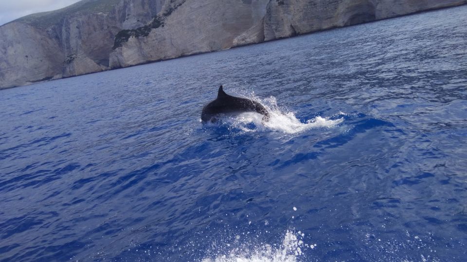 Zakynthos: early morning Shipwreck,Blue Caves and view point - Early-morning Navagio: why it’s the whole point