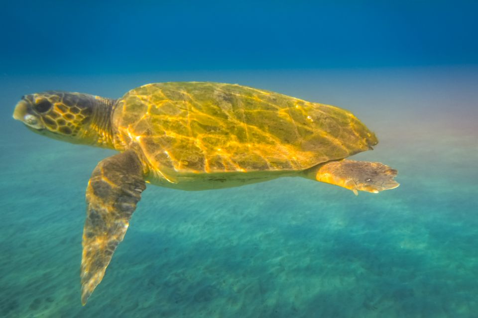 Zakynthos: Guided Boat Cruise to Turtle Island & Keri Caves - Who this tour is best for (and who should skip it)
