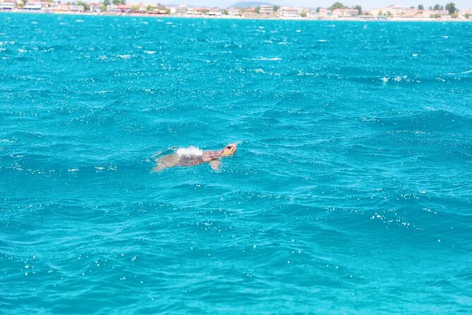 Zakynthos Half Day Tour to the Turtle Island, Cameo & Keri Caves - Cameo Island Stop: Quick Photos, Short Swim, Small Ticket Detail