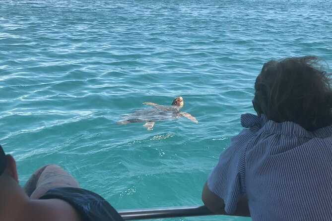 Zakynthos Half Day Tour to the Turtle Island, Cameo & Keri Caves - Price and Value: Why €-for-What You Get Usually Makes Sense